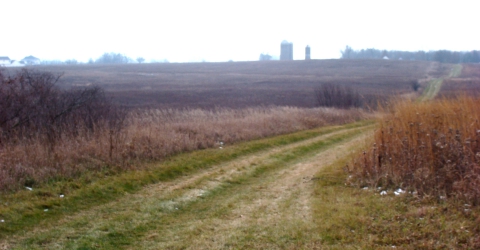 Trail