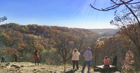 Scenic View (courtesy P. Leavenworth)