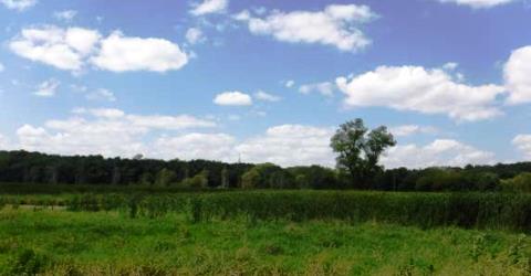 Blue Sky Landscape