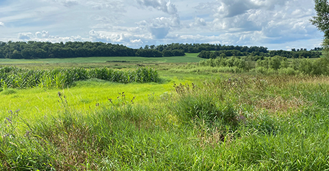 North Mendota Hyer Rd Unit Wildlife Area