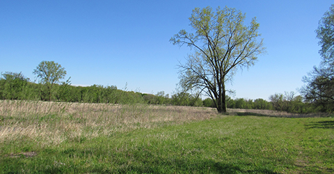 Token Creek Wildlife Area | Dane County Parks