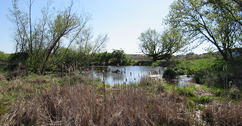 Token Creek Wildlife Area | Dane County Parks