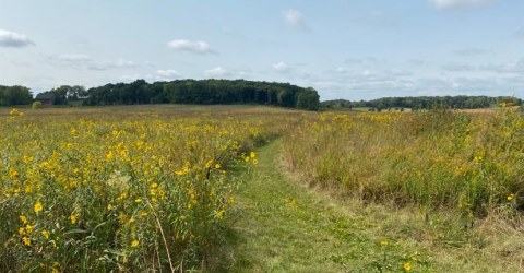 Prairie View from Trail