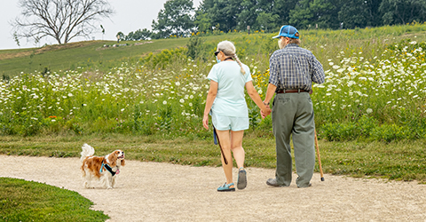 Dog Park courtesy John Kalson