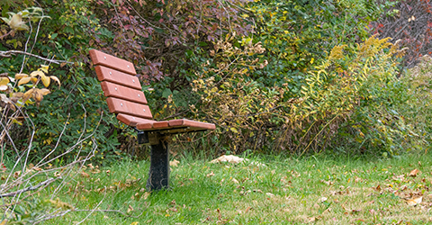 Bench courtesy John Kalson