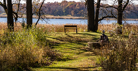 Spring courtesy John Kalson