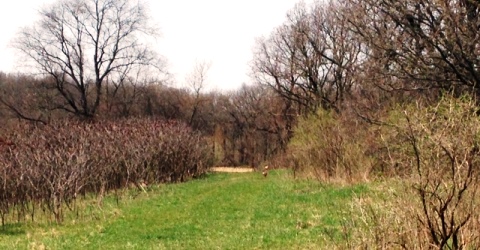 Property Adjacent to Token Creek County Park