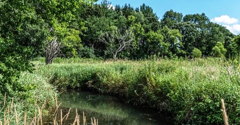 Token Creek Natural Resource Area | Dane County Parks