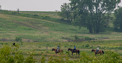 Equestrian Trails