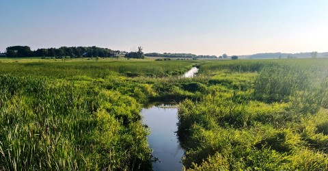 Wilke Prairie Preserve