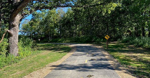 Trail Along Wooded Area