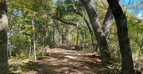 Scenic Trail