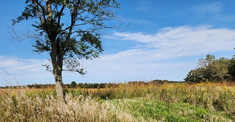 Prairie View