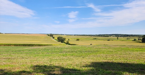 Land Looking North