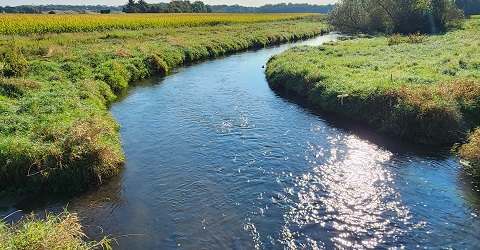 Sugar River