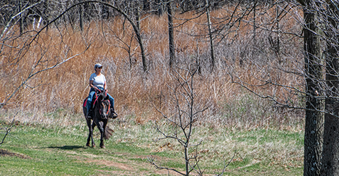Equestrian Trail