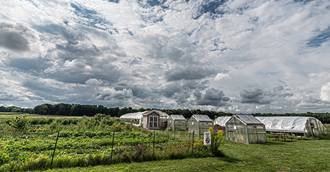 Gardens