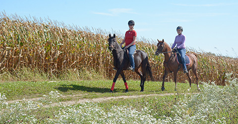 Equestrian Trails