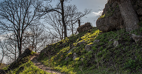 Table Bluff Segment