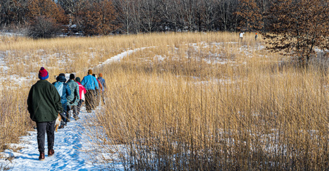 Trail at Prairie Moraine