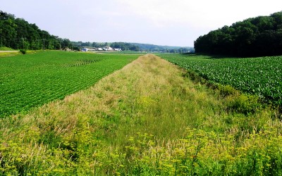 Grassed Waterway