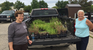 Volunteers with native plants they grew from seed