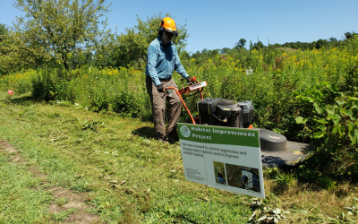 Person using a brush hog (large stand-behind mower) to mow invasives in a prairie 