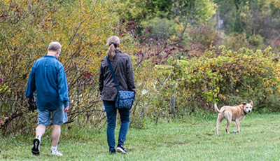 People walking at a dog park