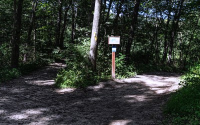 ELM at Indian Lake (installed below park sign)