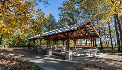 Shelter under the trees